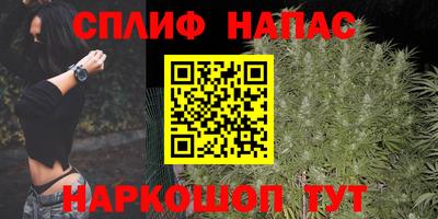 ешки Ставрополь