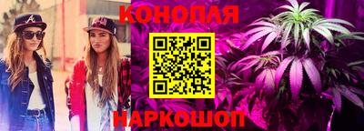 гидра Старая Купавна