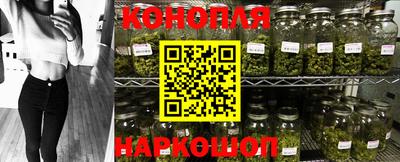 ешки Ставрополь